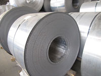 0.5mm���������۸�