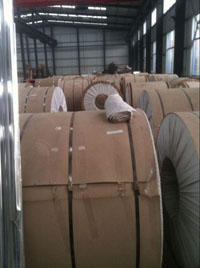 �����ܵ�������Ƥ